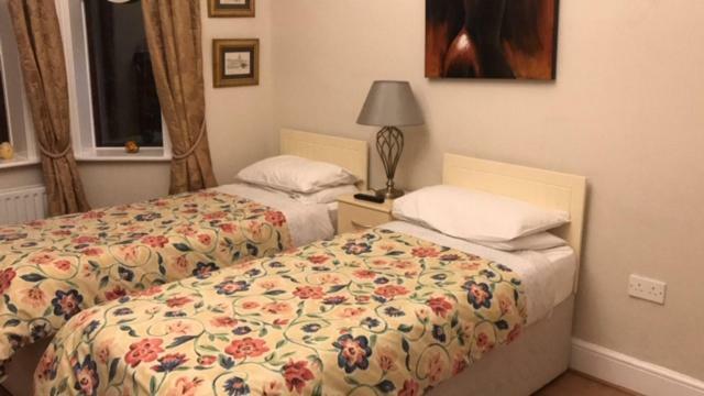 דבלין Sycamore House B&B מראה חיצוני תמונה